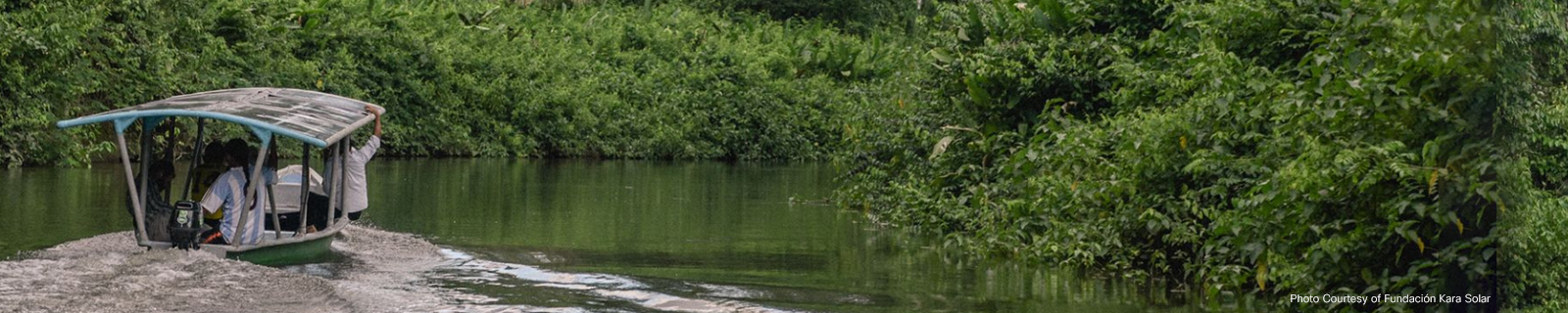 A woman in a green forest setting testing water.