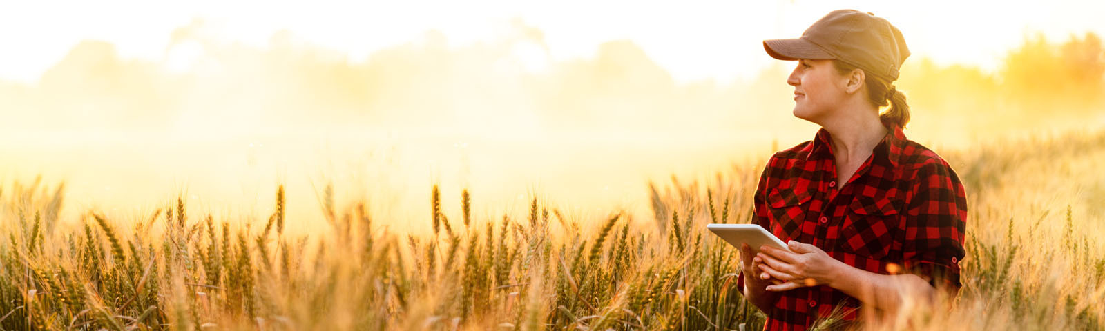 Broadband for farming communities