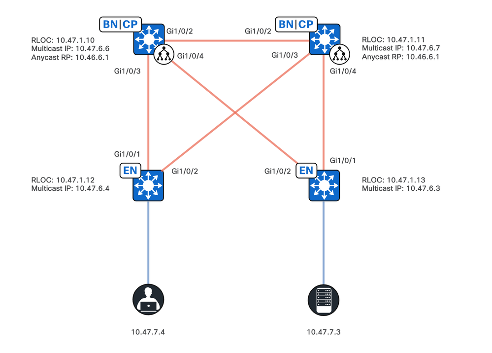 Network Topology