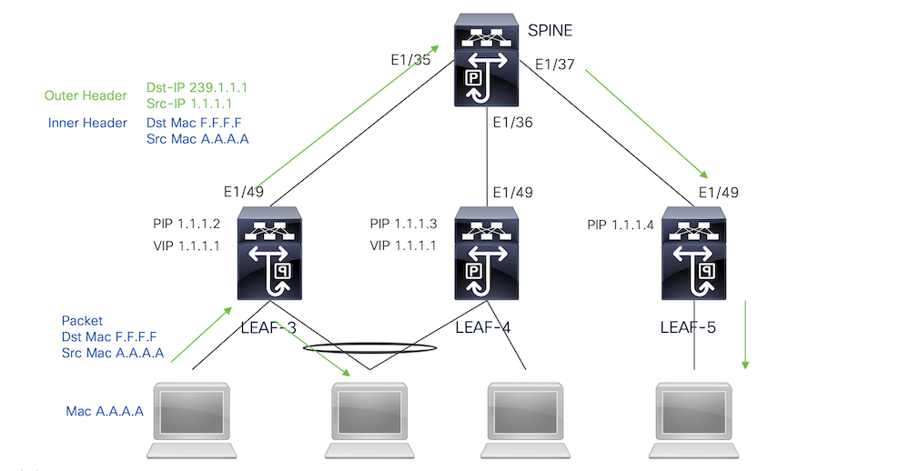 Fabric-Peering-Multic