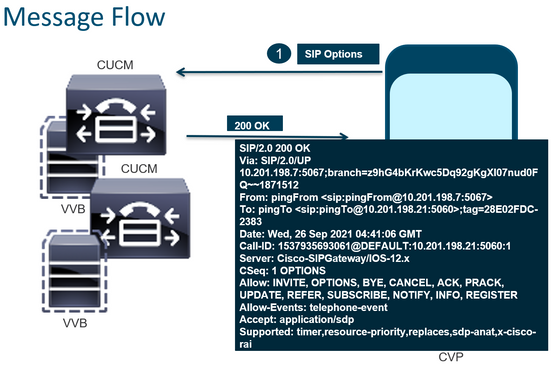 Message Flow – Detailed SIP Options 1B