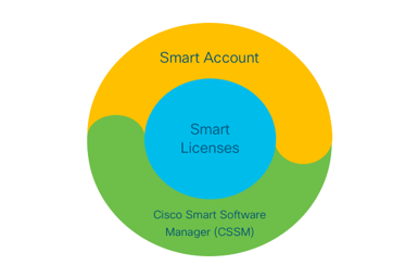 CUBE Smart License