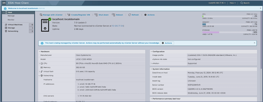 ESXi Home Page