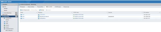 Boot from iscsi Target with MPIO - Choose iscsi boot portgroup from esxi GUI