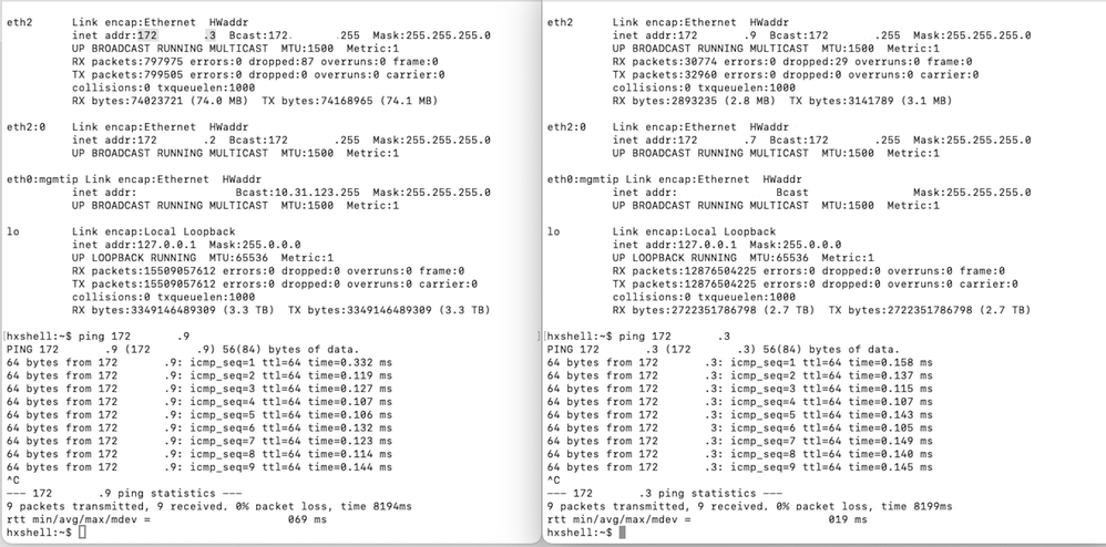 Ejemplo De Prueba De Ping Eth2