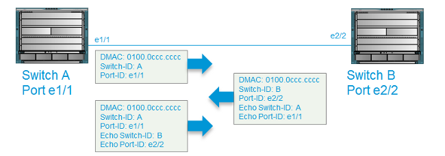 Echo-Pakete bilden bidirektionale Beziehungen