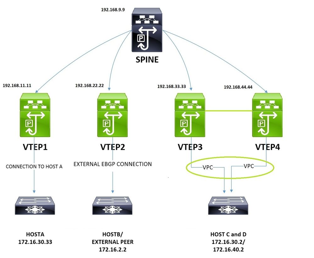 Network Diagram