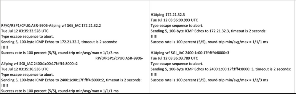 Host Ping Verification