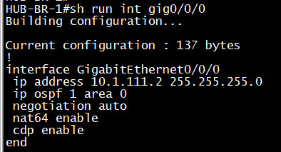 NAT64 Router - IPv4 Facing Interface