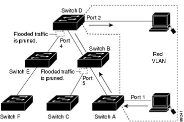 Broadcast Traffic in a Switched Network With Pruning