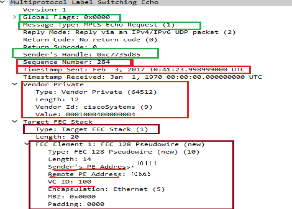 Actual MPLS Payload