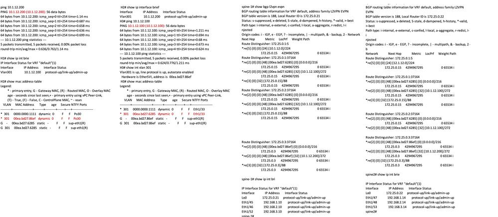 Troubleshoot the leaf configuration for Layer3 EVPN over SR MPLS