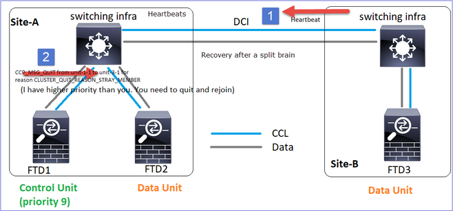 Split Partition Reconnects with a Peer Partition