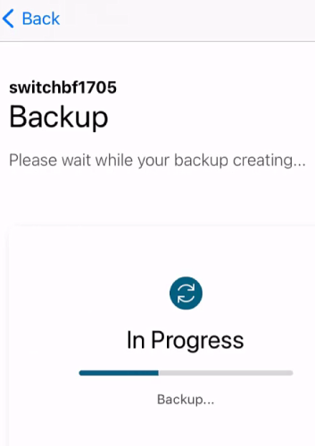 The backup process will take a few minutes. 