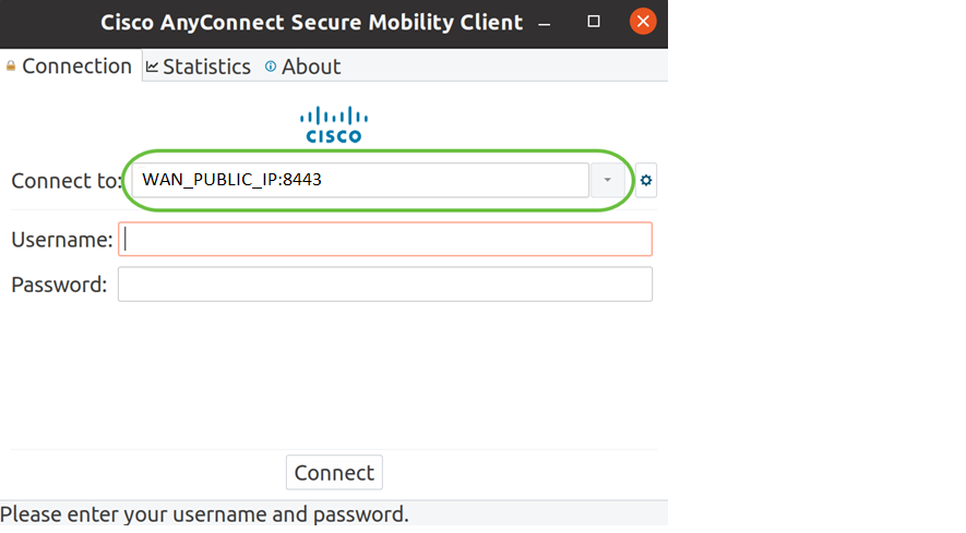 Enter the IP Address or Hostname of your desired server followed by the port number.