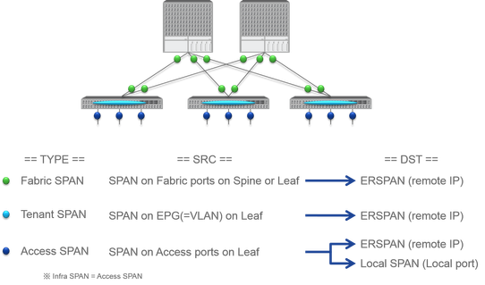 Span type in ACI