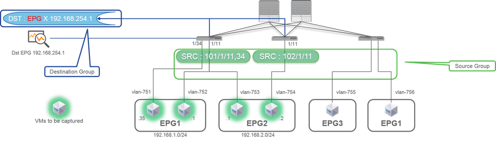 Access SPAN (ERSPAN)