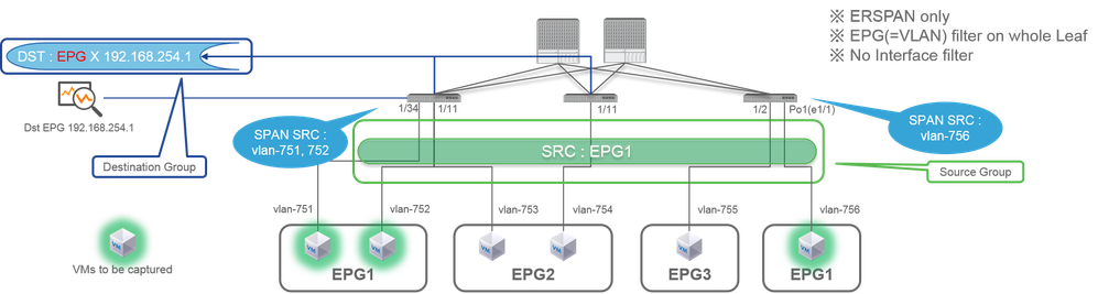 Tenant SPAN (ERSPAN)