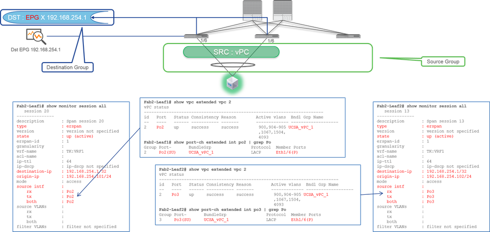 Access SPAN (ERSPAN) - Example 4 VPC