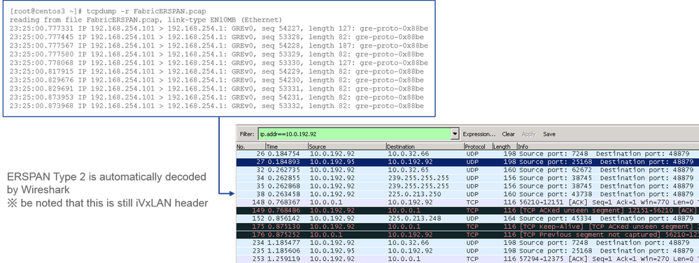 ERSPAN Type 2 decode