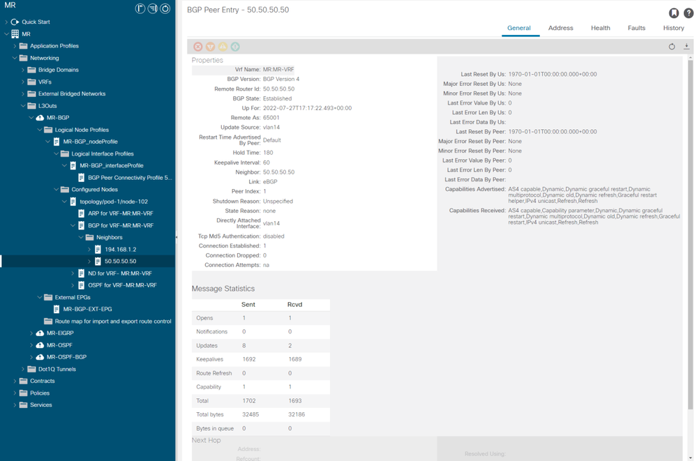 BGP peer entry on LEAF102