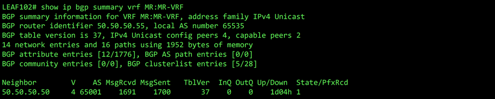 BGP summary for VRF MR:MR-VRF on LEAF102