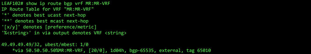 BGP route for VRF MR:MR-VRF on LEAF102