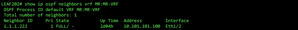 OSPF neighbor for VRF MR:MR-VRF on LEAF202