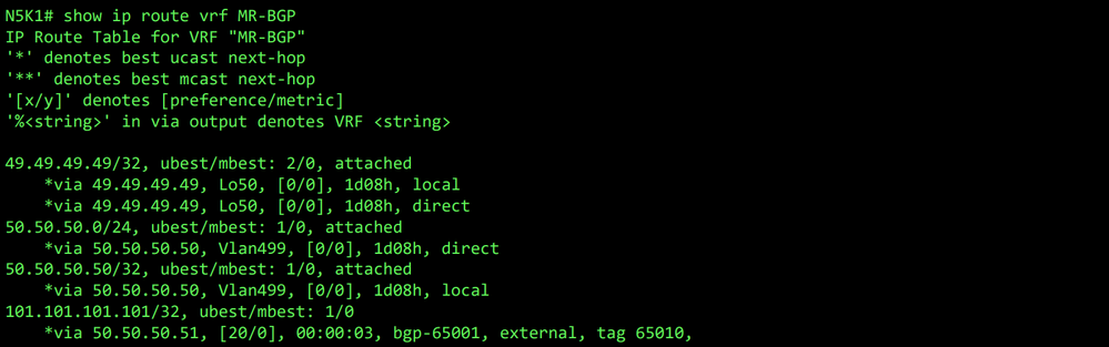 RIB for VRF MR-BGP on N5K1