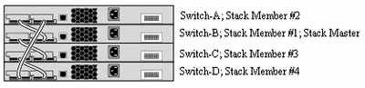 Switch-C 및 Switch-D 다시 로드 및 새 스택 조인