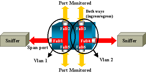 Network Diagram