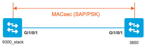 MACsec With SAP Image