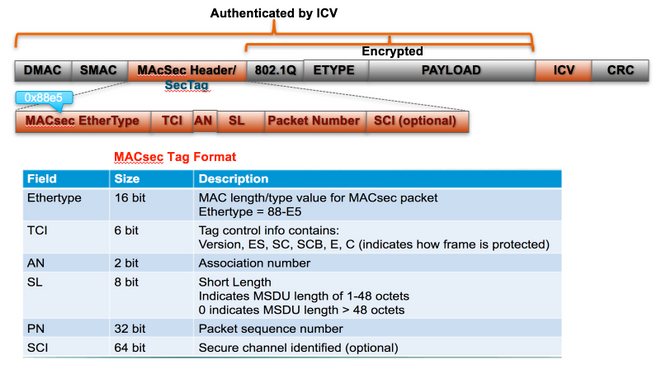 MACsec Packet Format