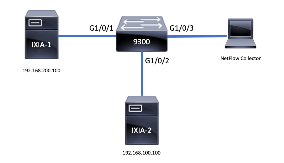 Netflow 토폴로지