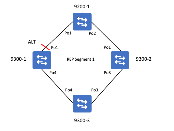 REP Topology(담당자 토폴로지) 04