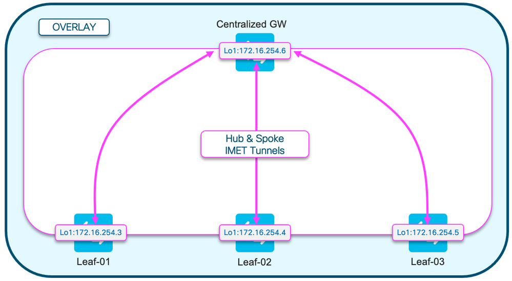 Hub and spoke IMET topology