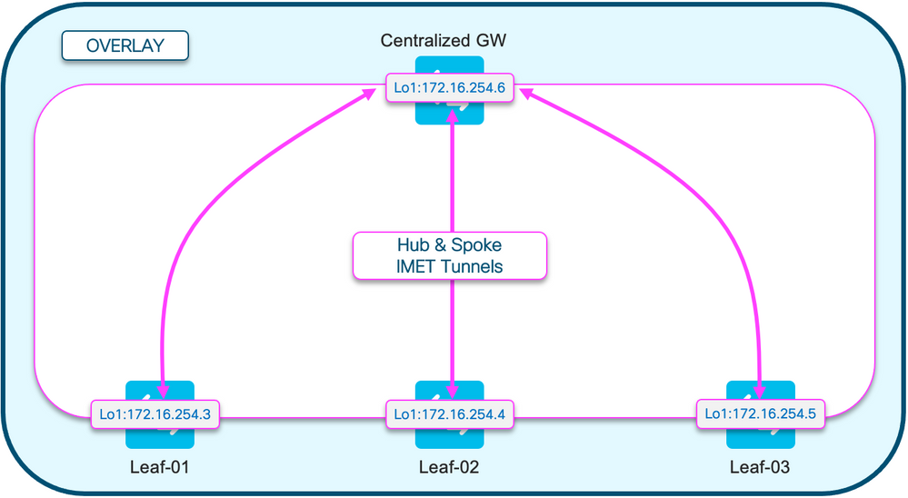 BGP EVPN RT3 Hub and Spoke topo