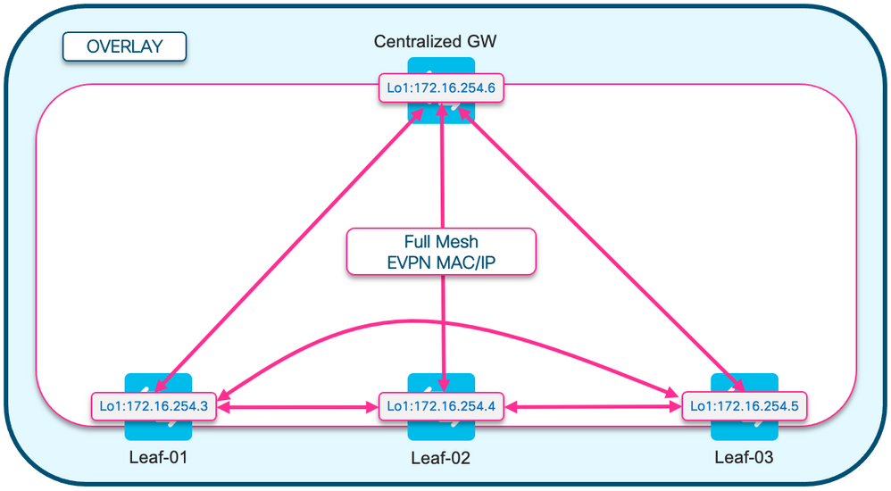 BGP EVPN RT2 풀 메시 Topo