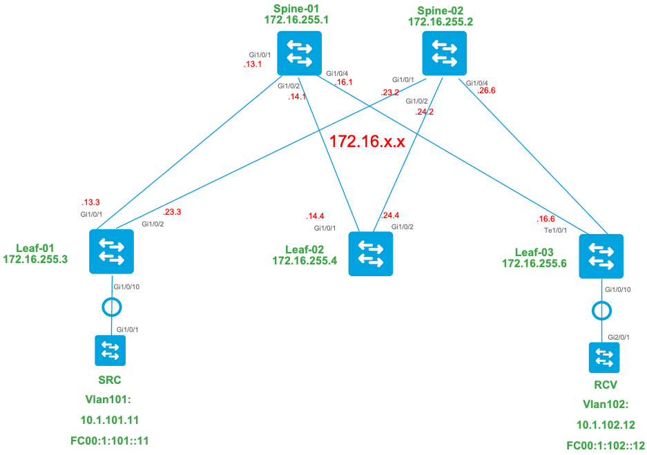 topología SSM