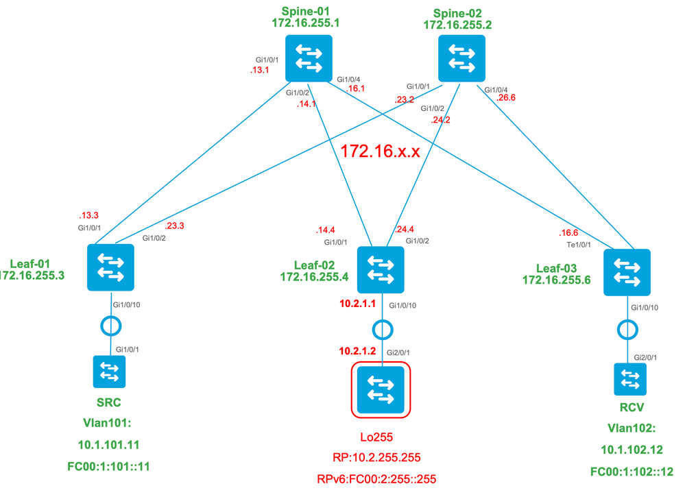 Topología de fabric externo RP