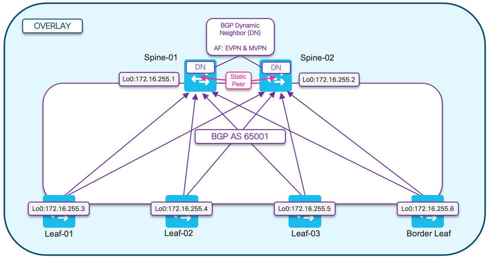 EVPN BGP Overlay Topology