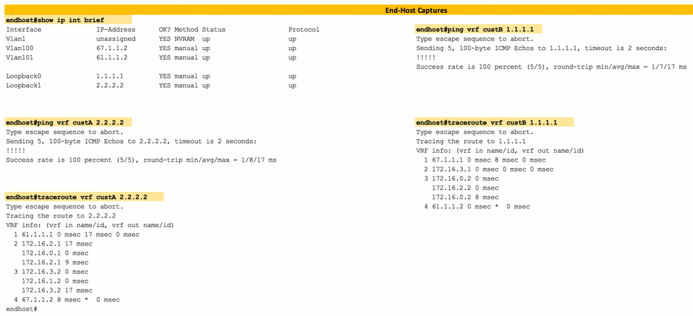 Layer3 EVPN over Segment Routing MPLS in Nexus 9300 - End Host Verification