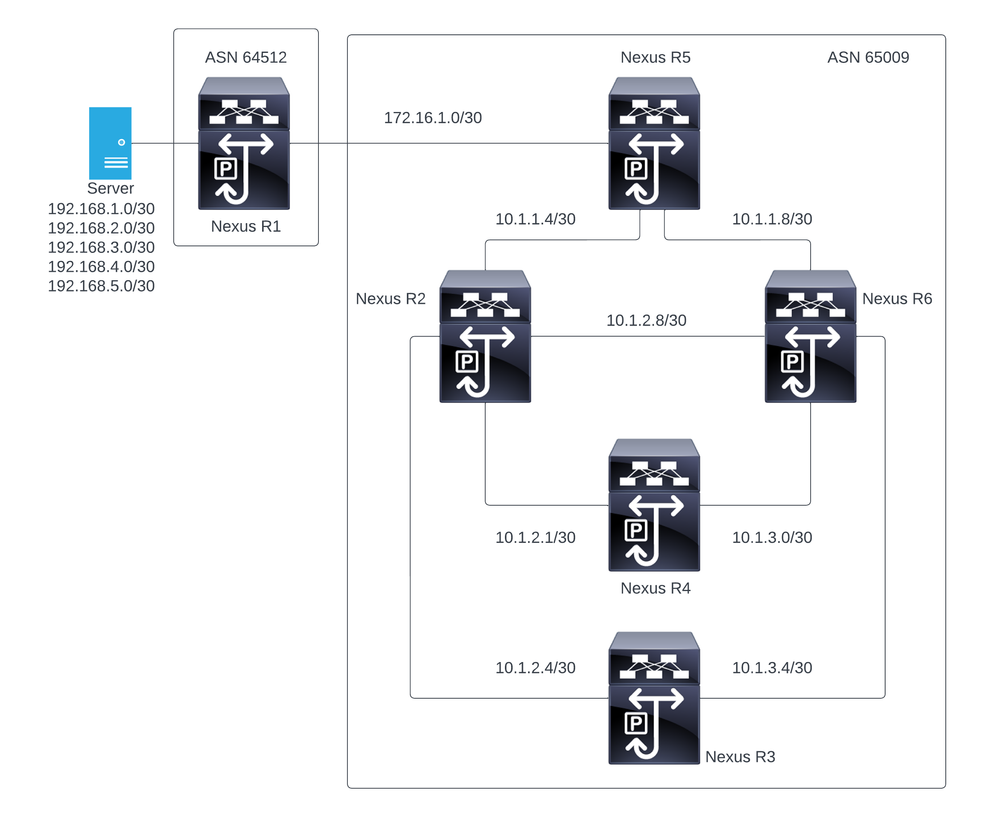 BGP Route Reflector Nexus