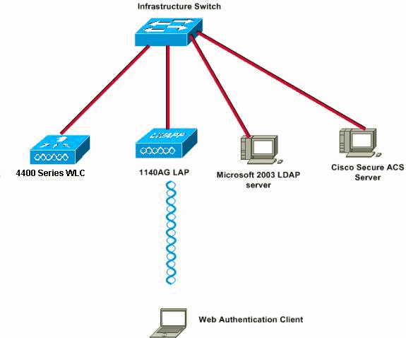 Network Setup