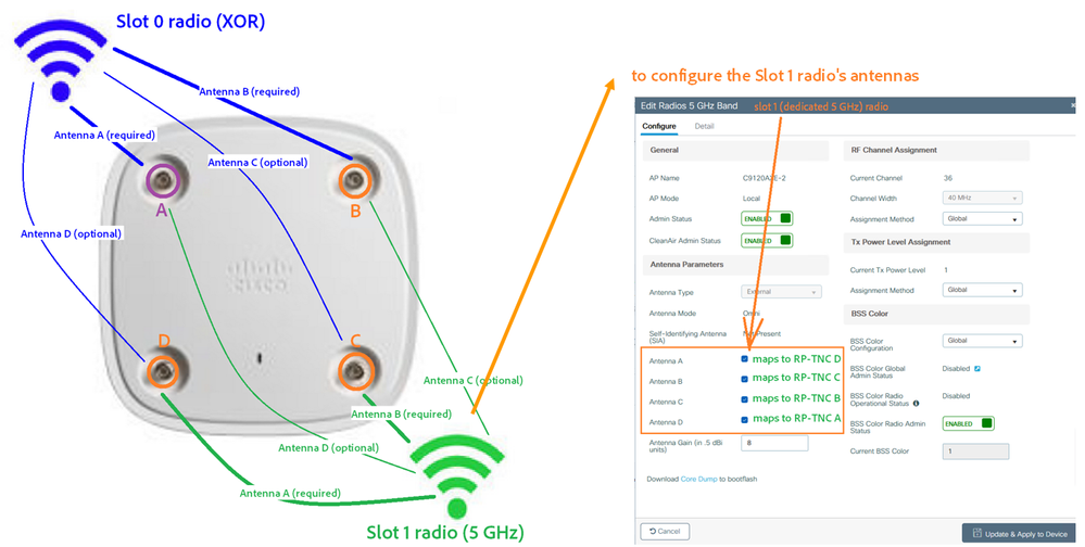 Schéma montrant le mappage des émetteurs-récepteurs radio aux terminaux RP-TNC, ainsi que la configuration de l'interface utilisateur graphique pour le logement 1.