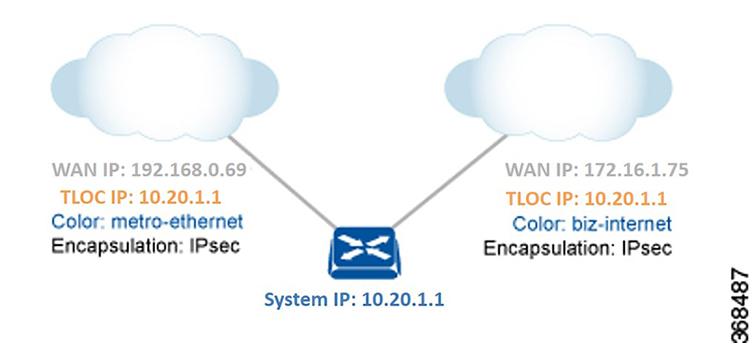 Illustration of a router with different attributes, including WAN IP, TLOC IP, color, and encapsulation