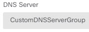 DNS サーバー設定。