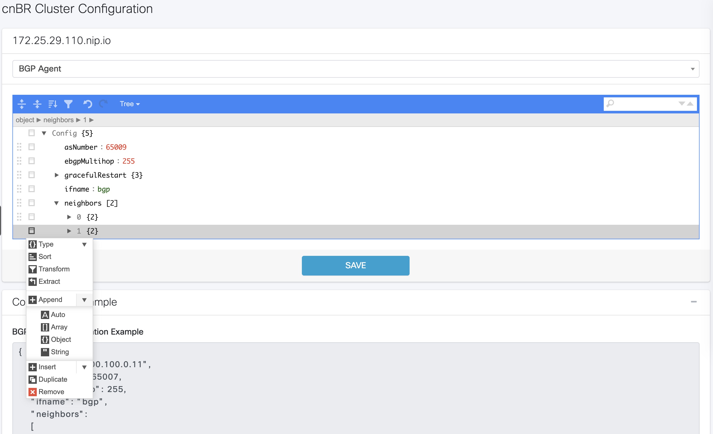 The Screenshot displays the BGP Agent configurator