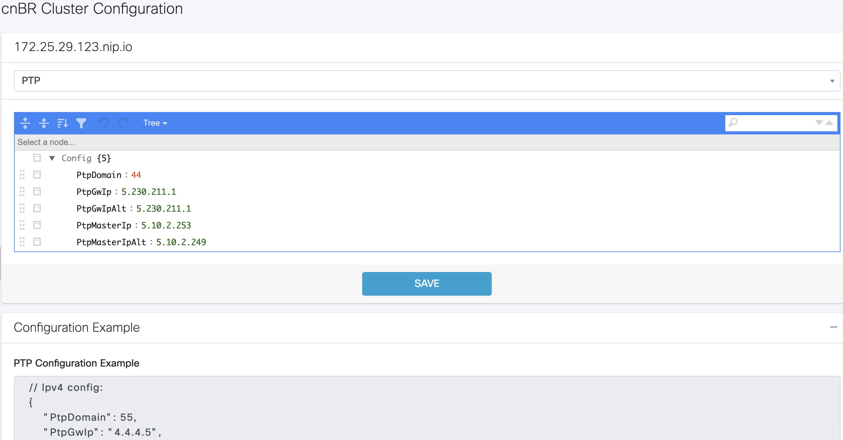 The screenshot displays the configuration information for cnBR PTP Client with a Dual Primary Clock