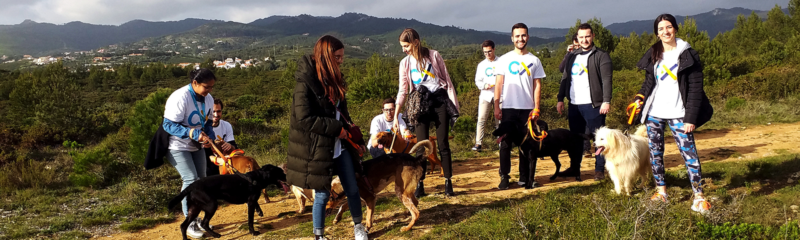 Group of people stand in nature with multiple dogs.